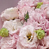 Букет цветов Pink lace - Фото 6