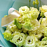 Букет цветов Yellow Lace - Фото 6