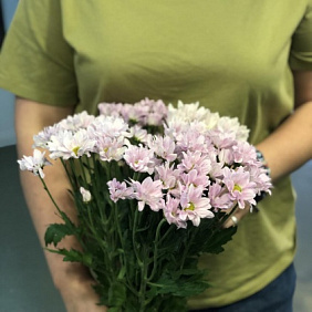 Букет "Ромашки" №171