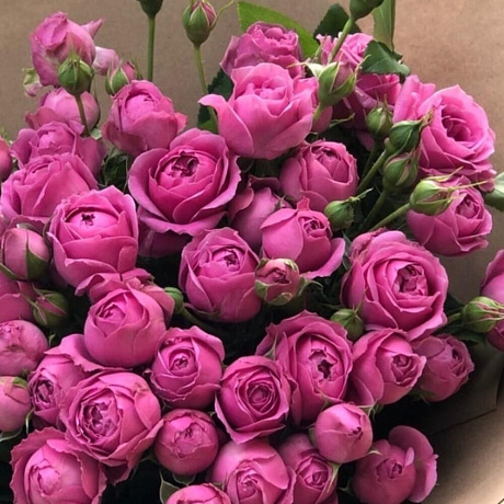 Букет Мисти Бабблз - Фото 4