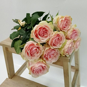 Нежно-розовые пионовидные розы