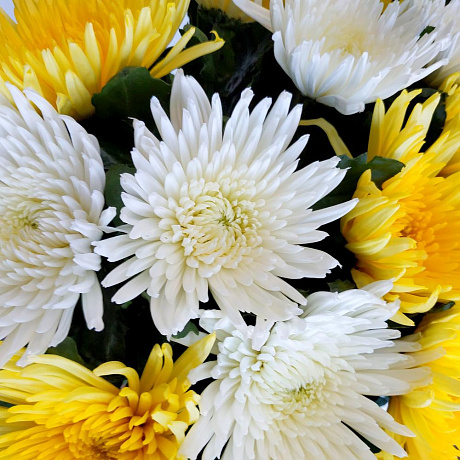 Букет цветов Ты мой свет - Фото 4