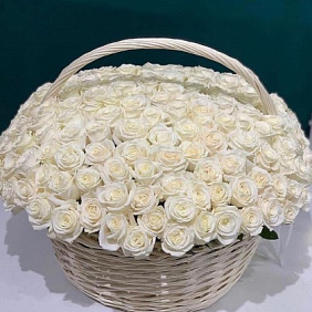 131 Роза