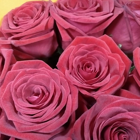 Букет Моно из 15 роз - Фото 5