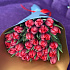 Тюльпаны Рубин - Фото 1