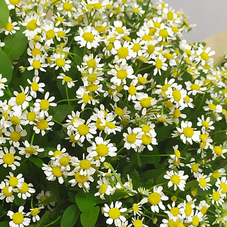 Букет цветов Поцелуй лета №160 - Фото 5