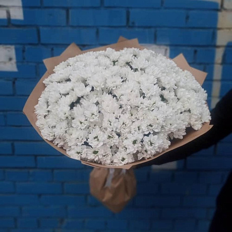 Букет из 39 белой хризантемы - Фото 5