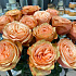 Букет из 15 персиковых роз - Фото 1