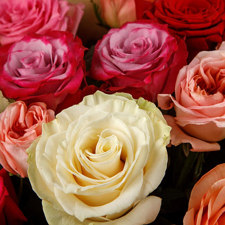 Букет из 35 роз Аморе мио - Фото 3