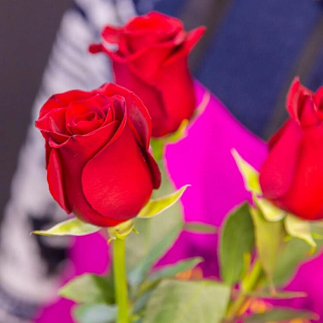 Букет цветов Эльбрус - Фото 4