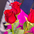 Букет цветов Эльбрус - Фото 4