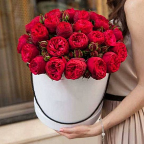 11 красных пионовидных роз Премиум в розовой шляпной коробке