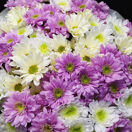 Букет цветов Восторг очарования - Фото 5