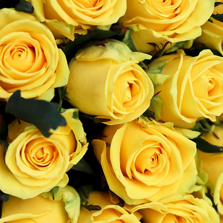 Розы. Букет из 19 желтых роз. N656 - Фото 4