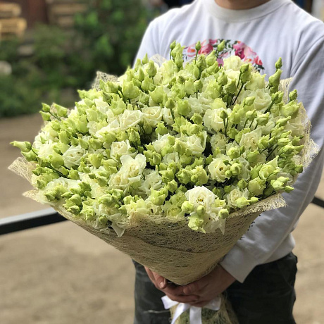 Эустома. Букет из 51 белой эустомы. N481 - Фото 2