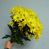 Букет цветов Благородная нежность №2 - Фото 3