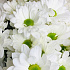 Белые хризантемы в коробке - Фото 5