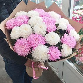 25 Крымских хризантем