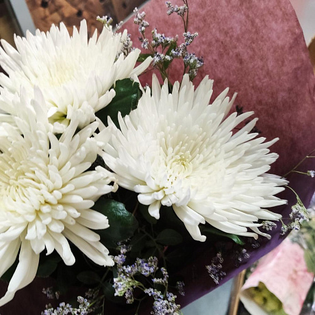 Хризантемы в зелени - Фото 5