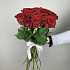19 красных роз 60 см - Фото 2