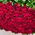 Букет из 101 красной розы на заказ - Фото 5
