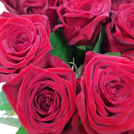 Букет  из 29 алых роз - Фото 5