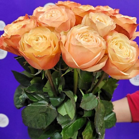 Букет из Пионовидных роз №160