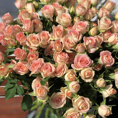 Букет из 15 кустовых розовых роз №161 - Фото 3