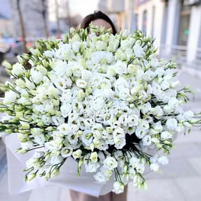 Букет из 101 белой эустомы