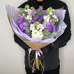 Букет из бархатной Маттиолы