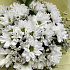Букет цветов Oblako - Фото 3