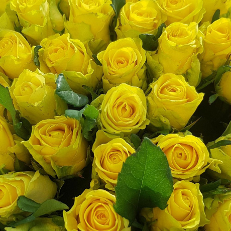 Букет 101 Желтая Роза №167 - Фото 4