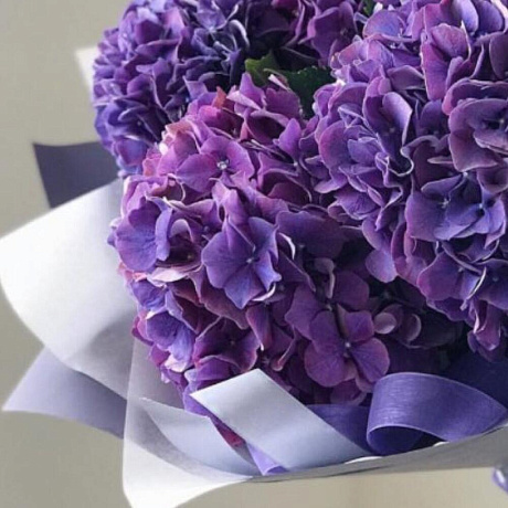 Букет из 5 фиолетовых гортензий - Фото 2