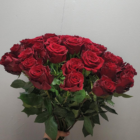 Шикарная эквадорская роза  35 шт - Фото 3