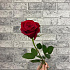 Роза VIP Premium Колумбия 40 см - Фото 4