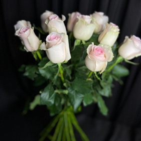 Роза свит ревиваль