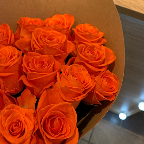 Роза ВАУ - Фото 5