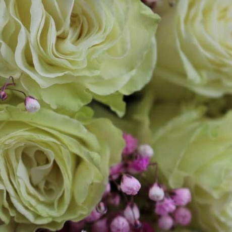 Букет из роз Мондиаль №161 - Фото 6