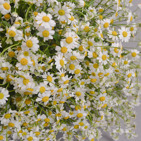 Букет 0531 - Фото 2