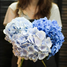 Букет цветов "Небо" №166