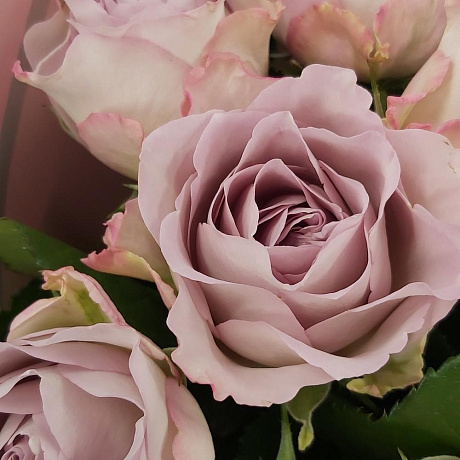 15 сиреневых розочек Мэмори Лейн - Фото 5