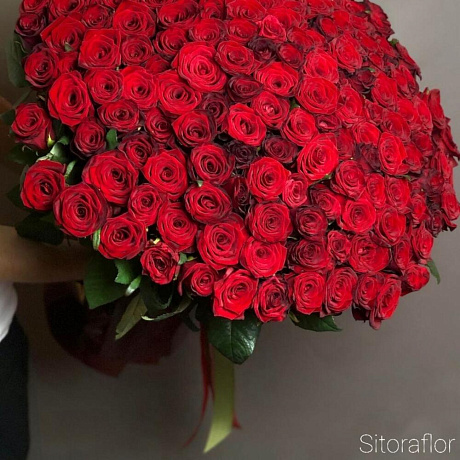 Шикарный букет из 151 красных роз - Фото 2