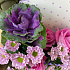 Букет цветов Цветочный комплимент - Фото 6