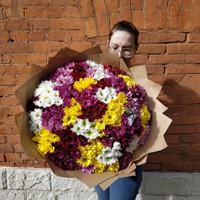 51 хризантема №164