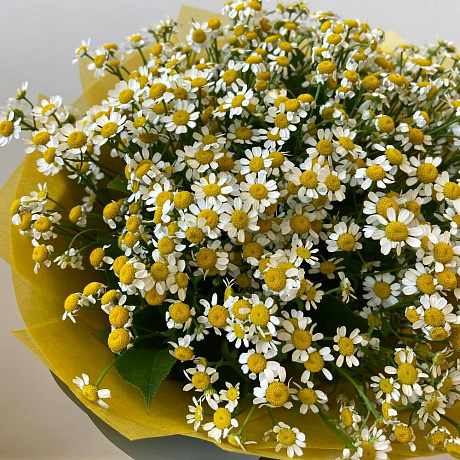Букет цветов Ромашковый луг - Фото 4