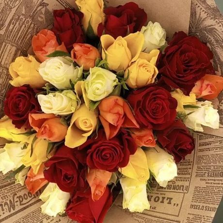 Роза Кения микс 35 шт - Фото 4