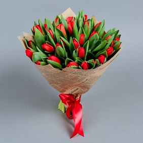Букет из 49 тюльпанов