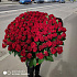 201 роза красная Премиум - Фото 4