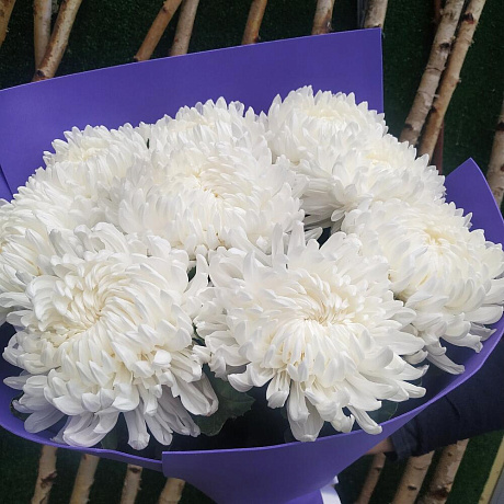 Букет Антонов - Фото 4