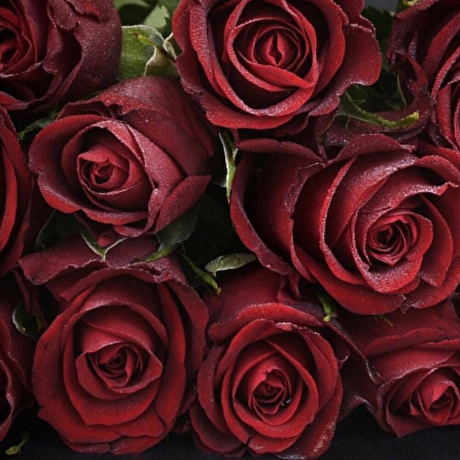 15 роз  80 см - Фото 2